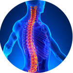 عکس پزشکی - عکس دکتر - تصویر پزشکی